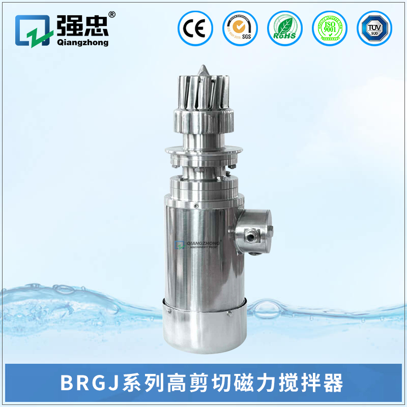 BRGJky体育(中国)官方网站高剪切磁力搅拌器